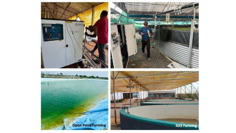 India’s First Nanobubble Pioneer: How Prasinos Made World-Class Technology Affordable for Everyone